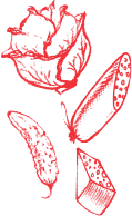 About Image